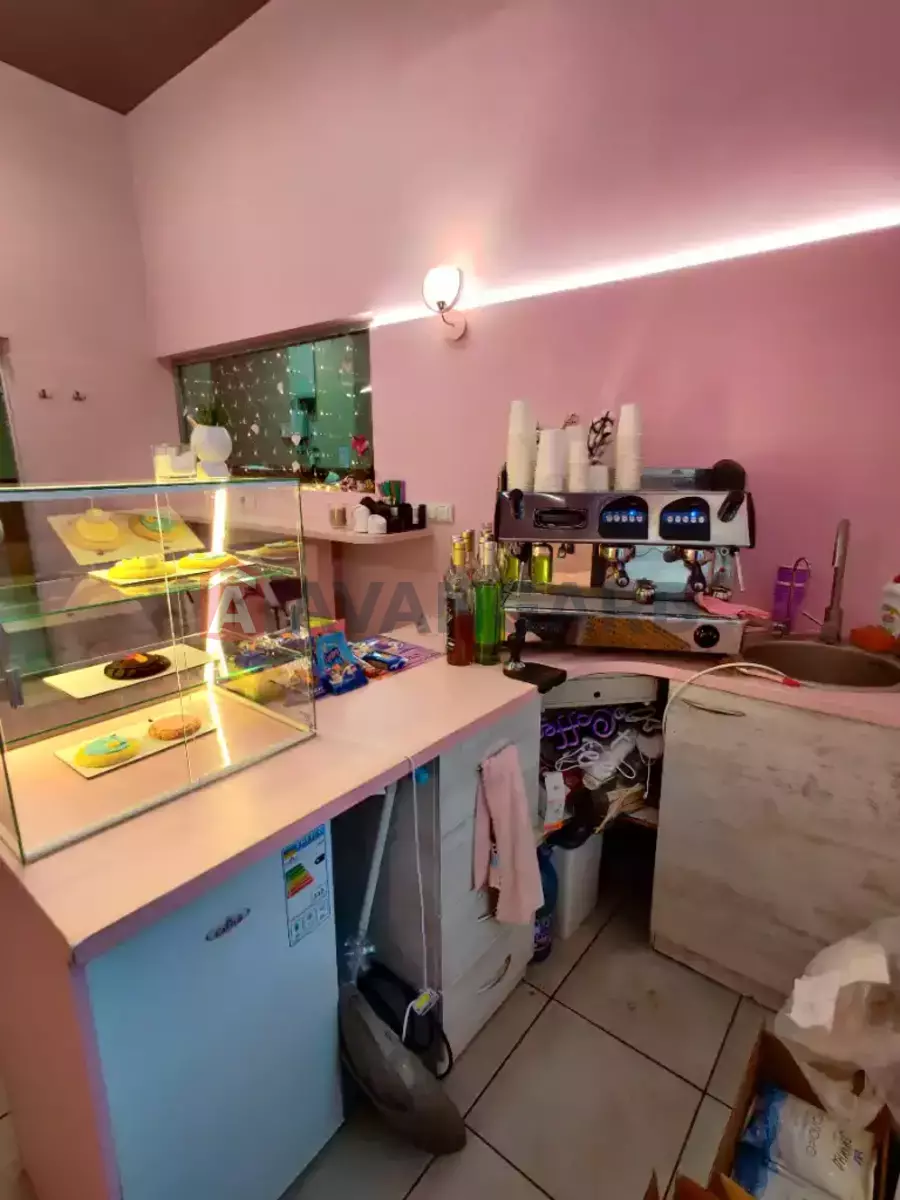 ����, ���, ��������, 12 ��.�. ���� 3