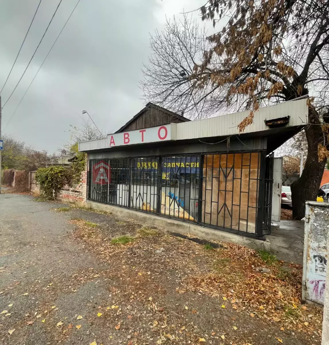 ���������� �����, 88 ��.�. ���� 2