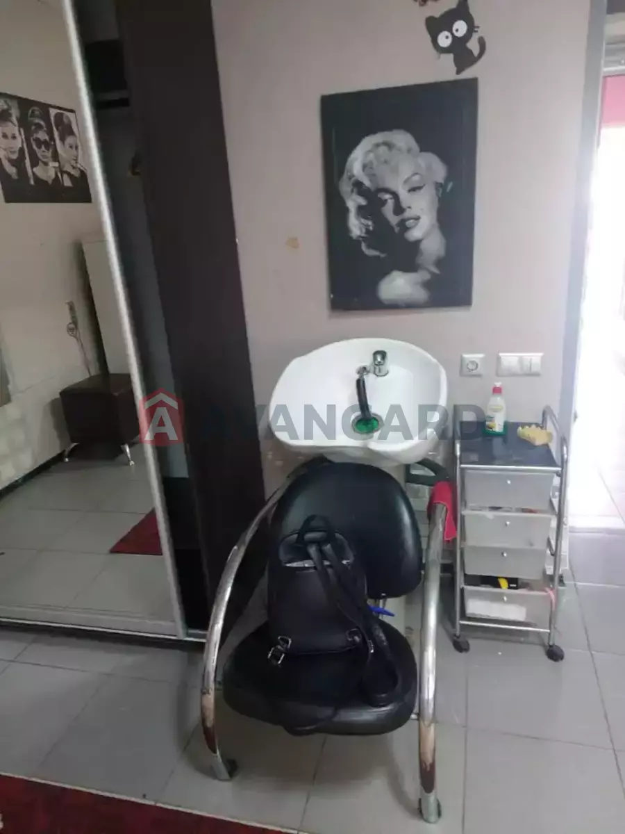  , 53 ..  2
