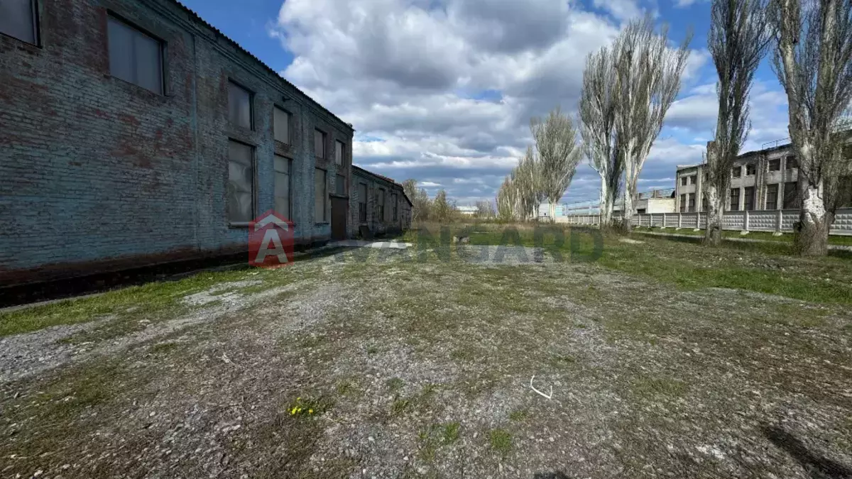 ���������� �����, 325 ��.�. ���� 12