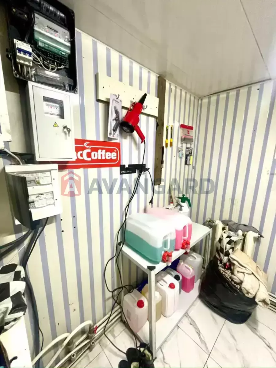 ����� �����, 50 ��.�. ���� 14