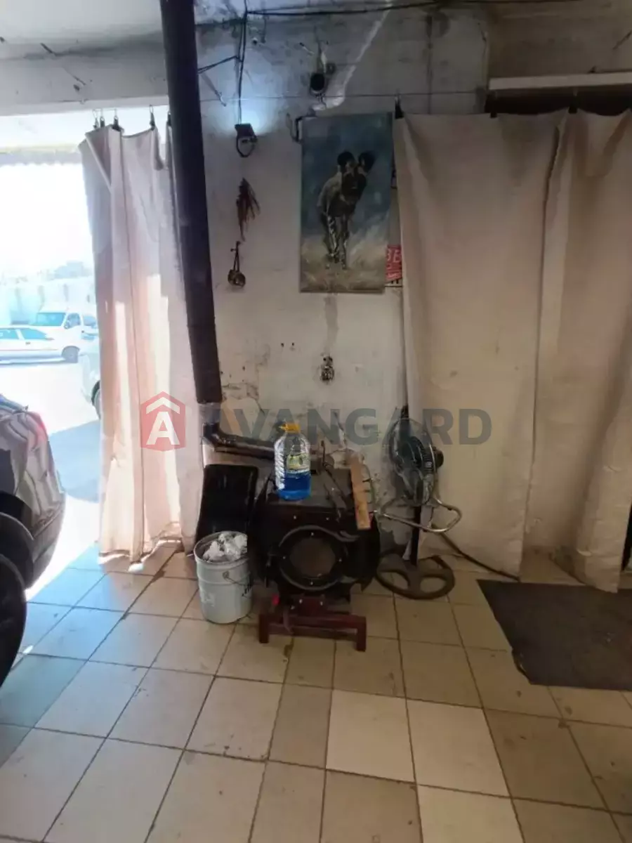 ����� �����, 80 ��.�. ���� 10