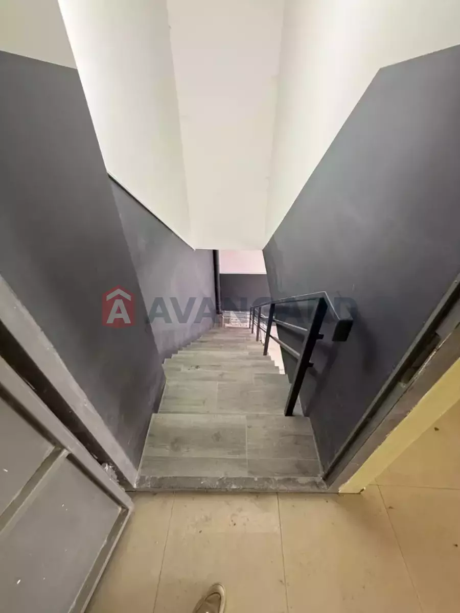 ����� ������, 550 ��.�. ���� 7