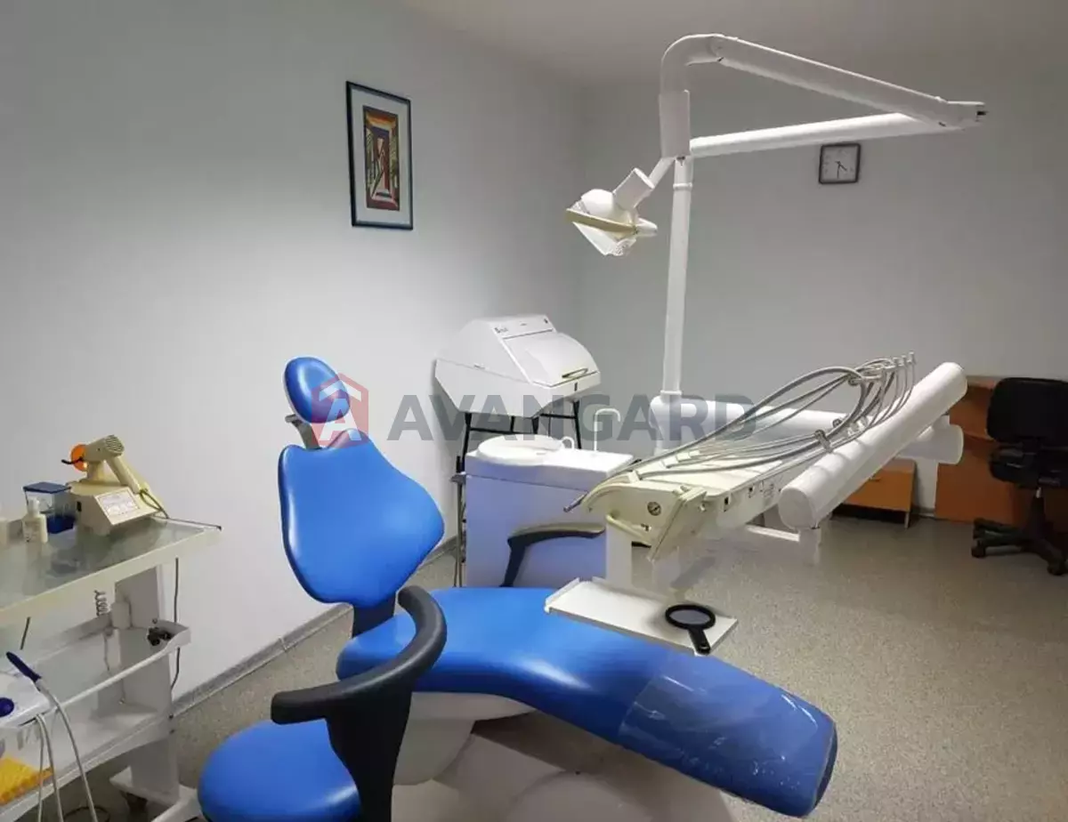 �������� �������, 33 ��.�. ���� 1