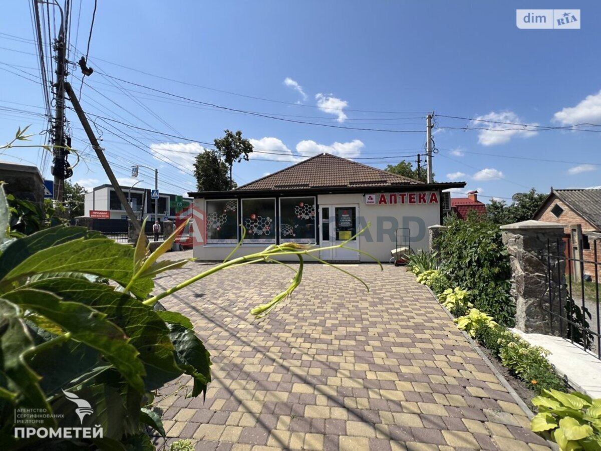 ���������� �����, 245 ��.�. ���� 2