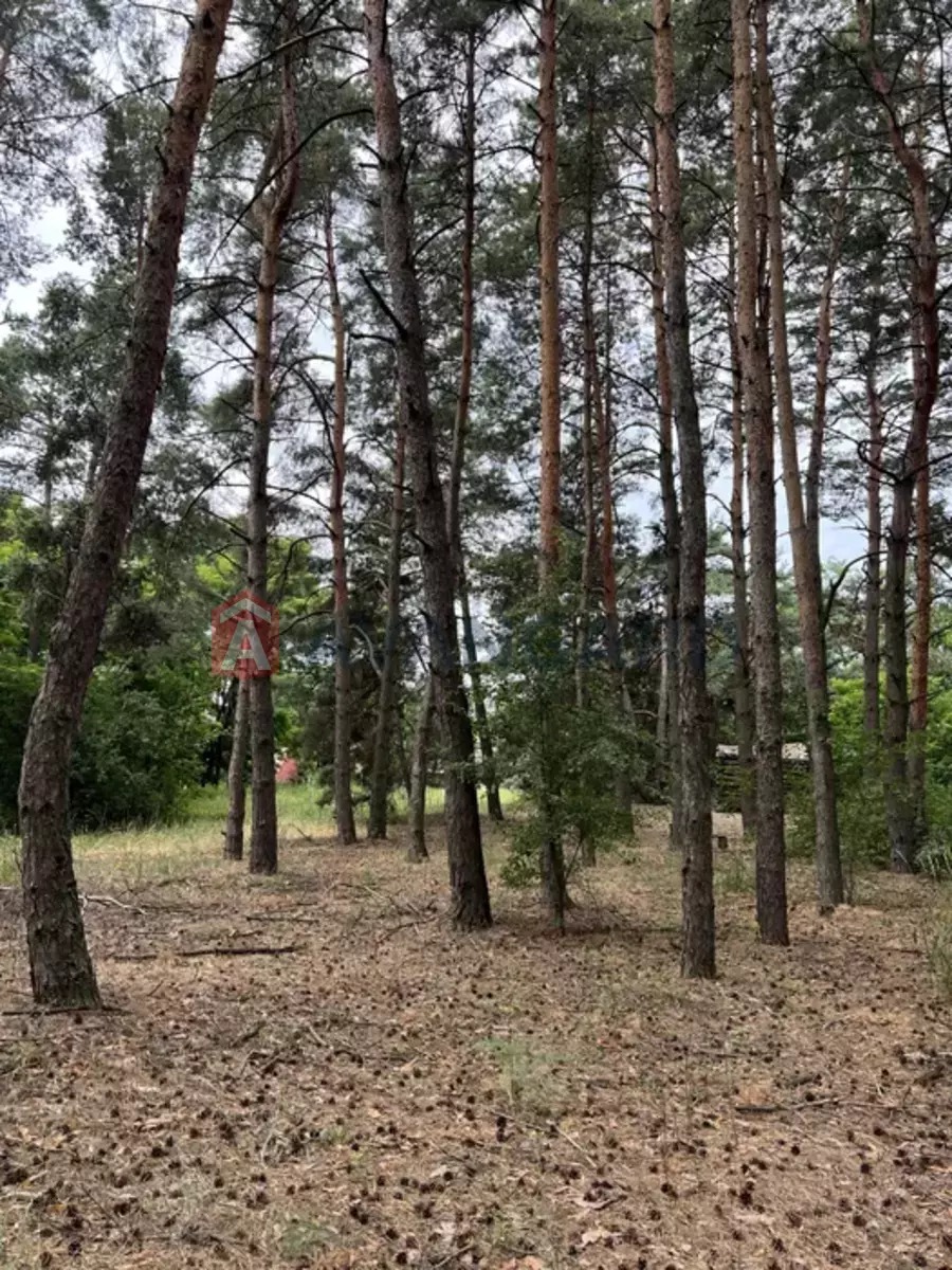 ������, 100 ��.�. ���� 4
