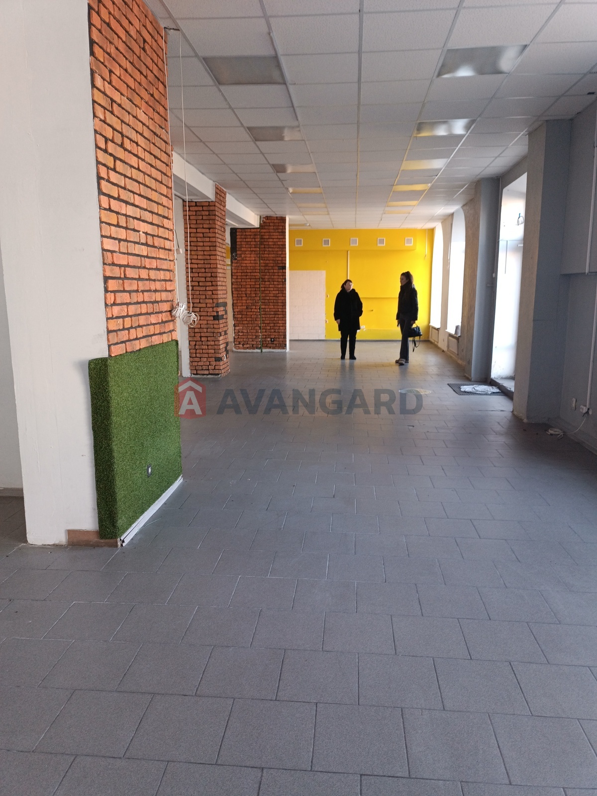 ���������� �����, ����, ���, ��������, ����� ������, 160 ��.�. ���� 11