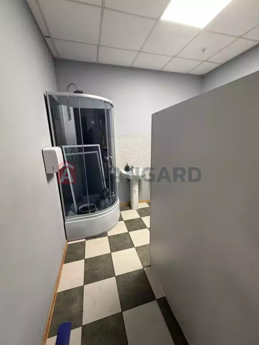 ���������� �����, 145 ��.�. ���� 19