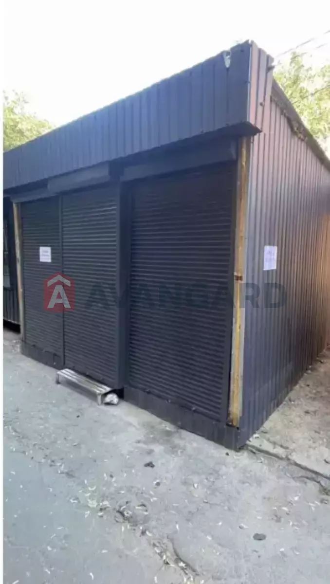 ���������� �����, 16 ��.�. ���� 3