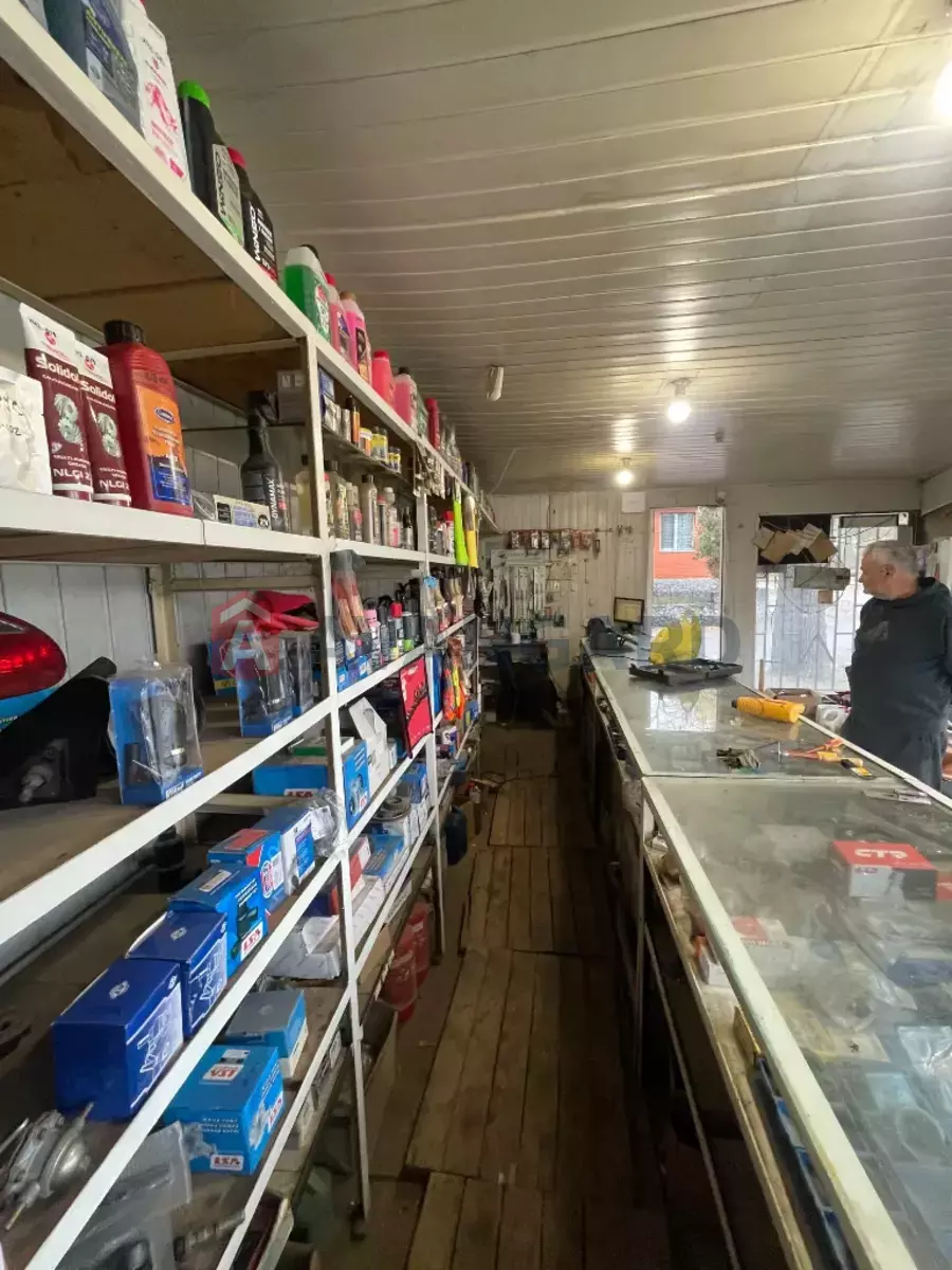 ���������� �����, 88 ��.�. ���� 4