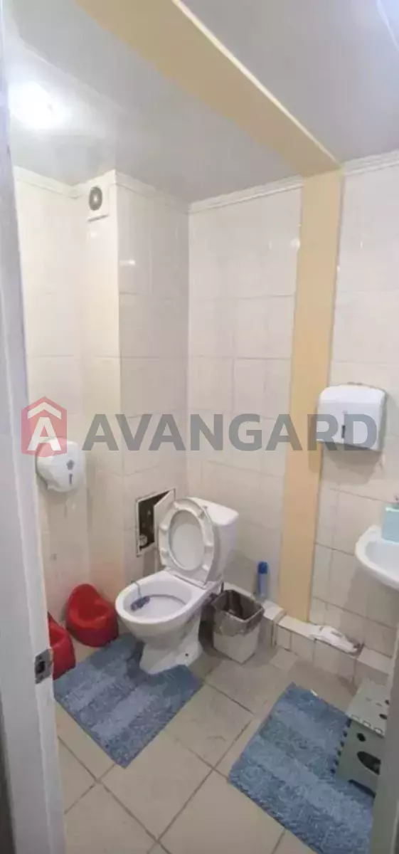 ���������� �����, 95 ��.�. ���� 6