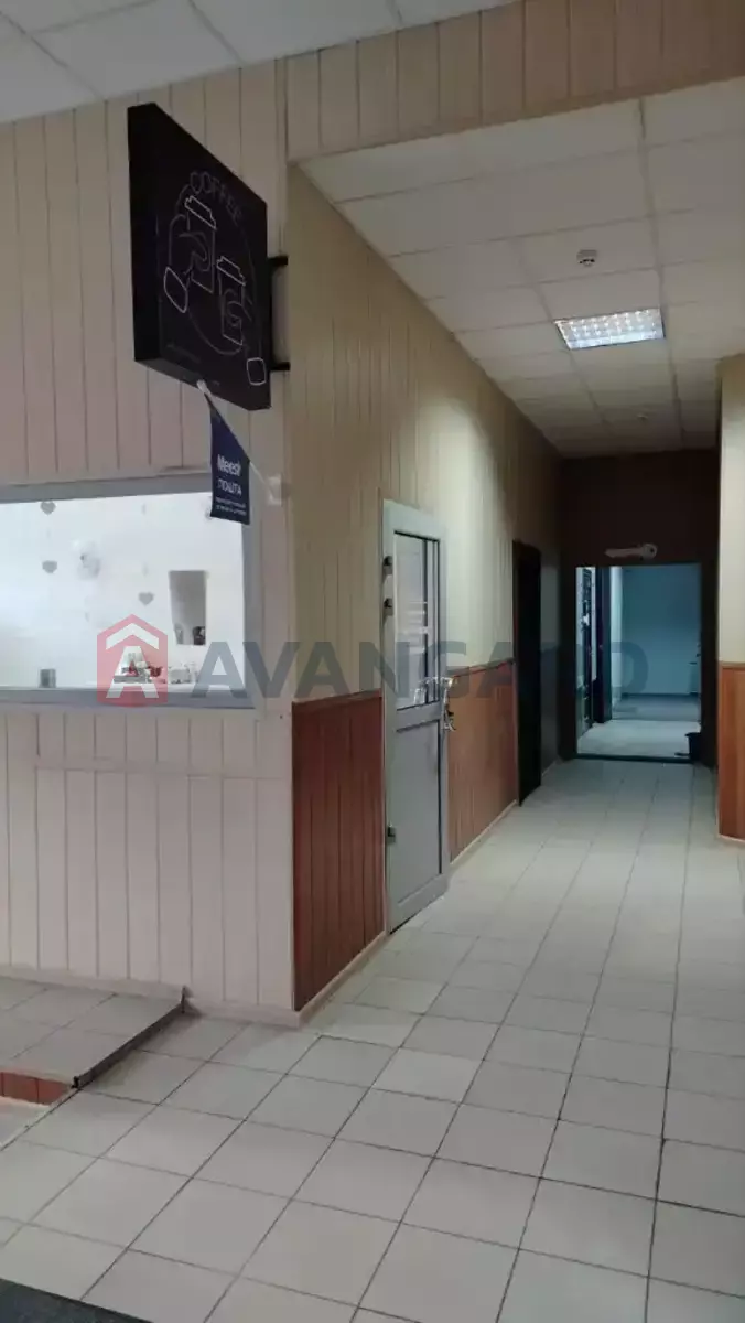 ����, ���, ��������, 12 ��.�. ���� 16