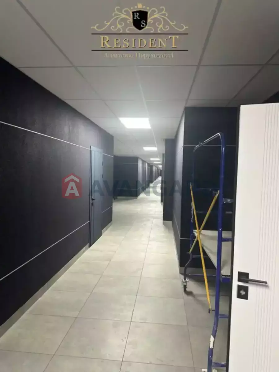 ���������� �����, 205 ��.�. ���� 7