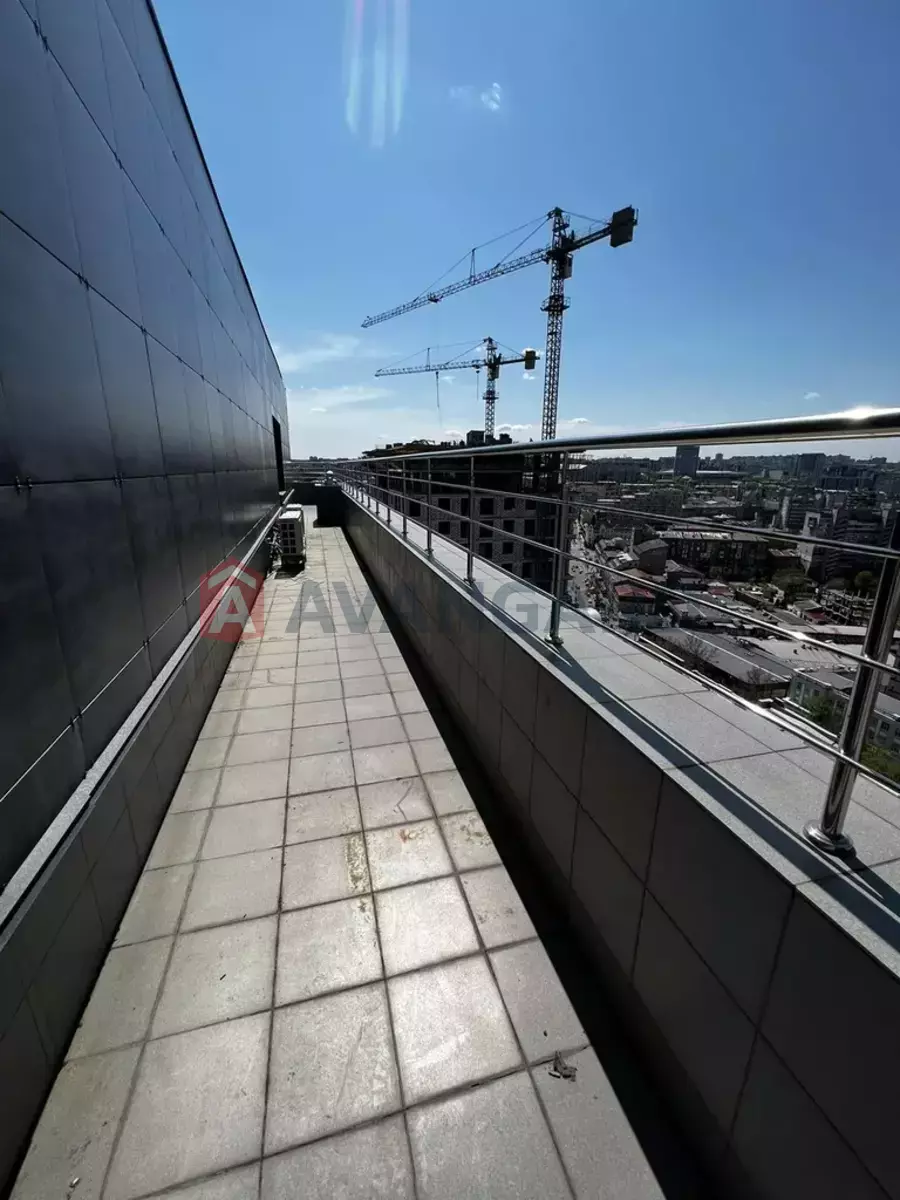 ���������� �����, 227 ��.�. ���� 11