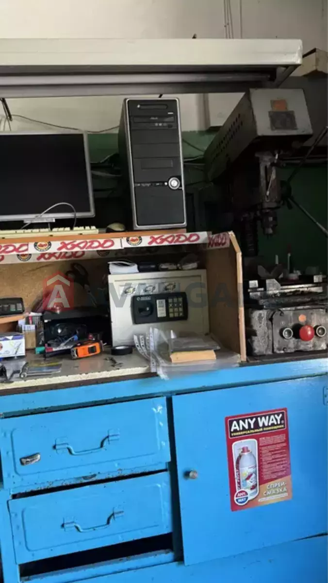 ����� ������, 95 ��.�. ���� 17