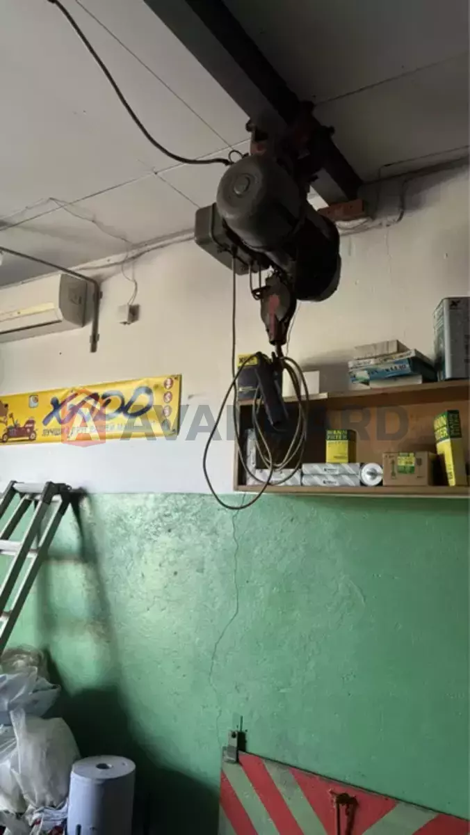 ����� ������, 95 ��.�. ���� 13