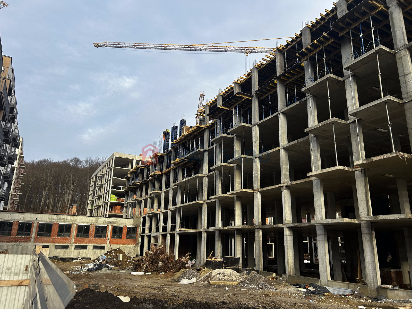 ���������� �����, ����� ������, 33 ��.�. ���� 6