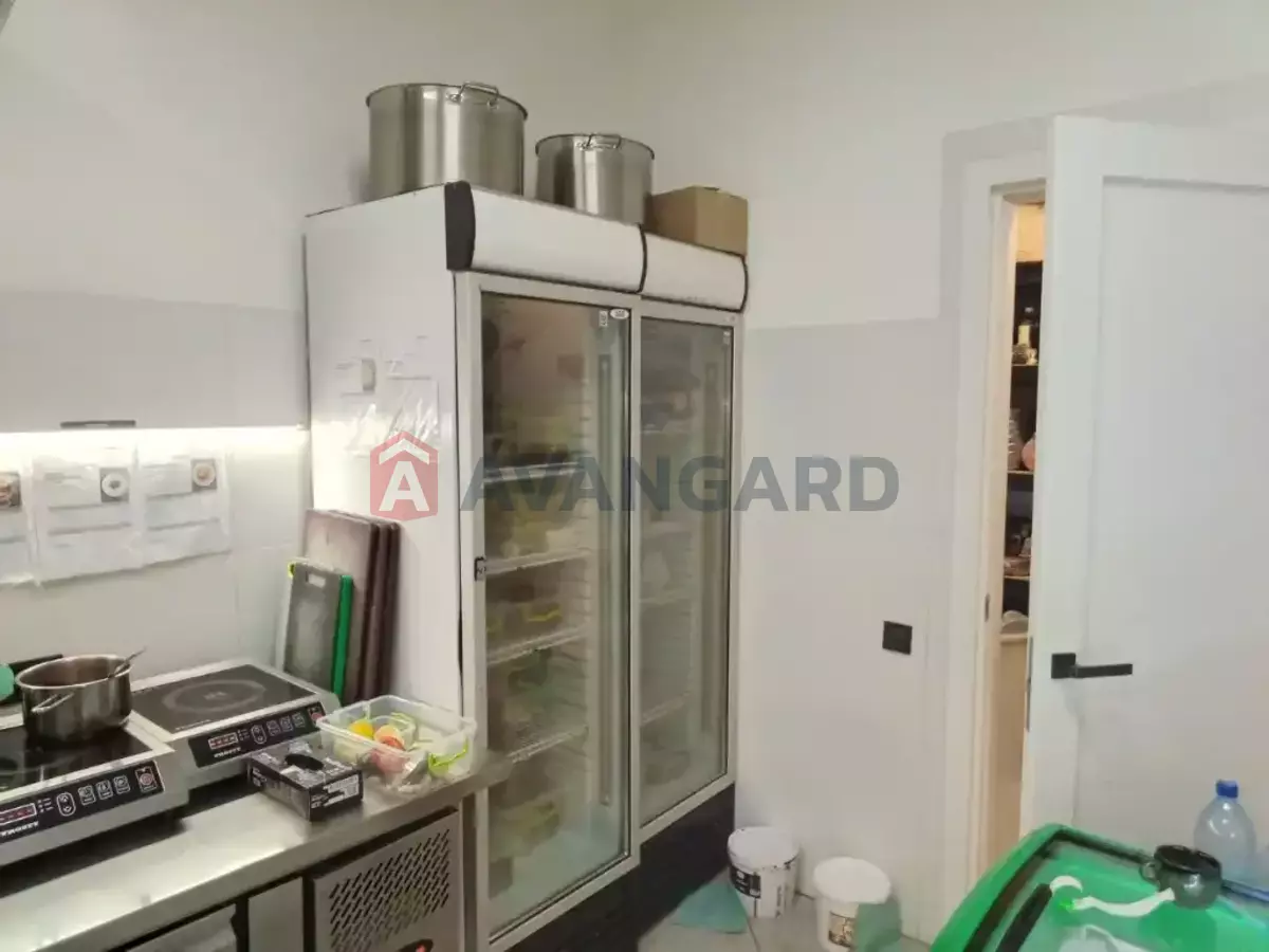 ����, ���, ��������, 160 ��.�. ���� 10