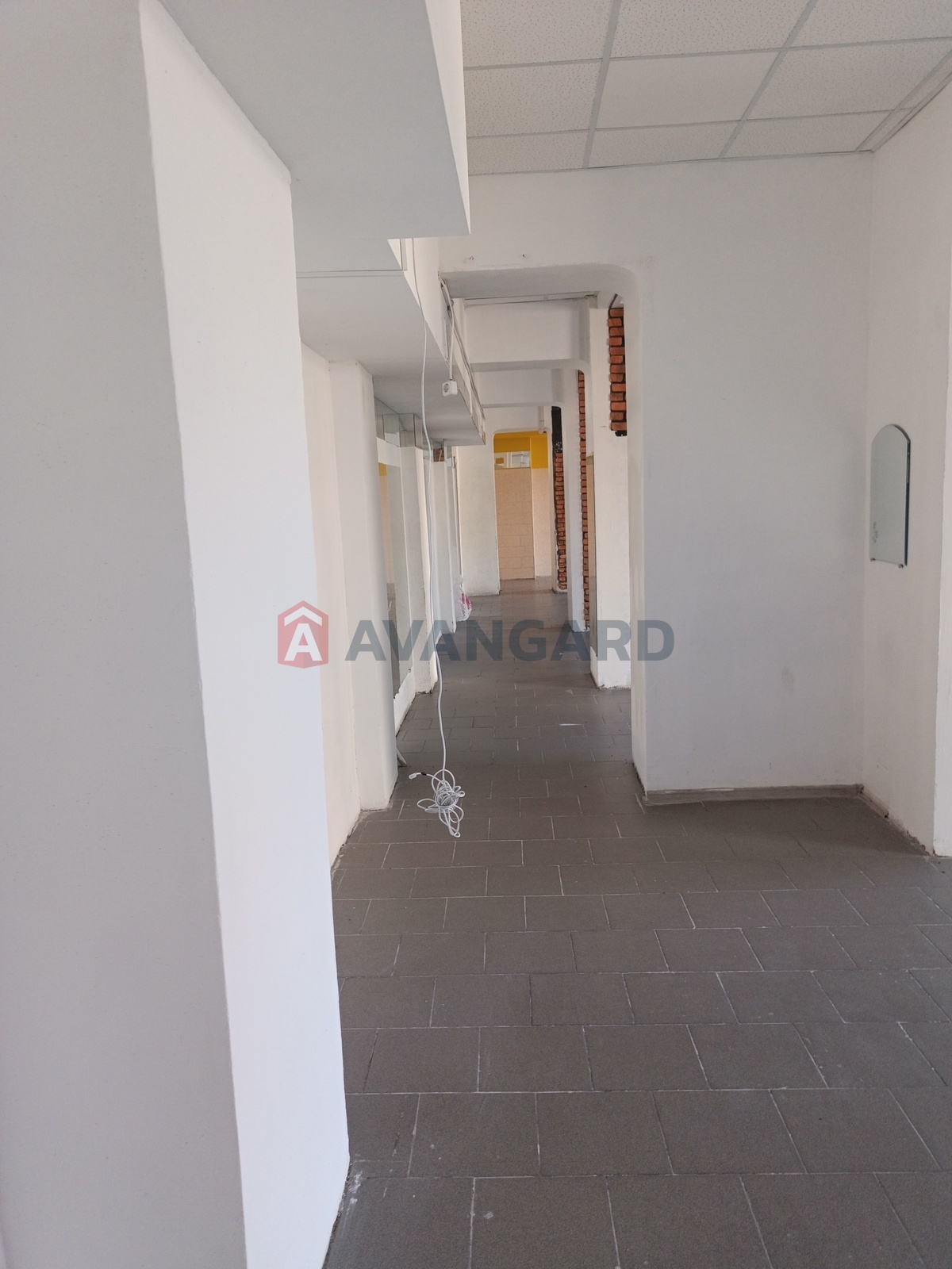 ���������� �����, ����, ���, ��������, ����� ������, 160 ��.�. ���� 10