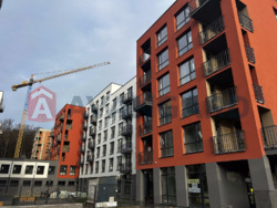 ���������� �����, ����, ���, ��������, ����� ������, 196 ��.�. ���� 2