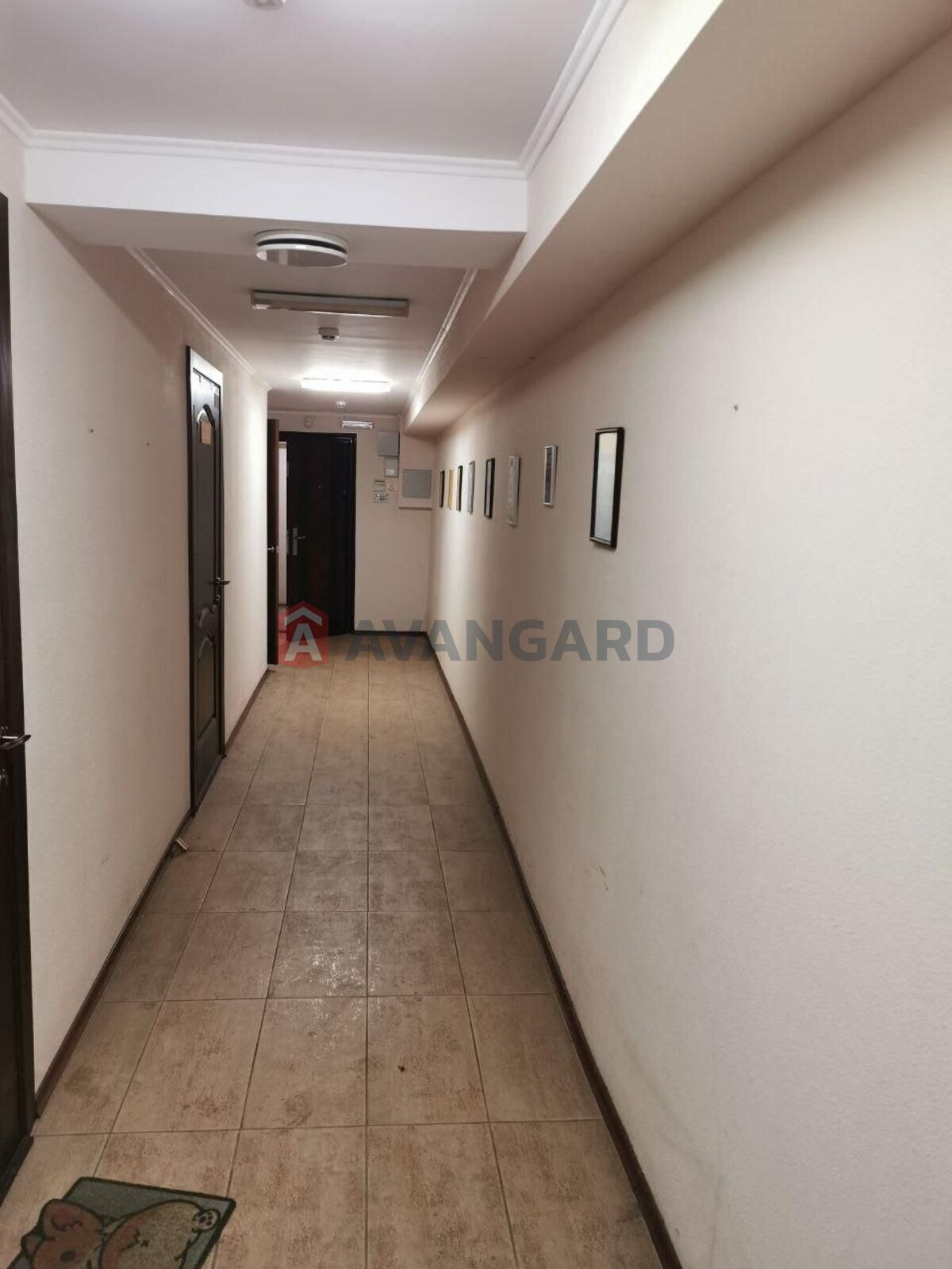 ����� �����, 289 ��.�. ���� 8