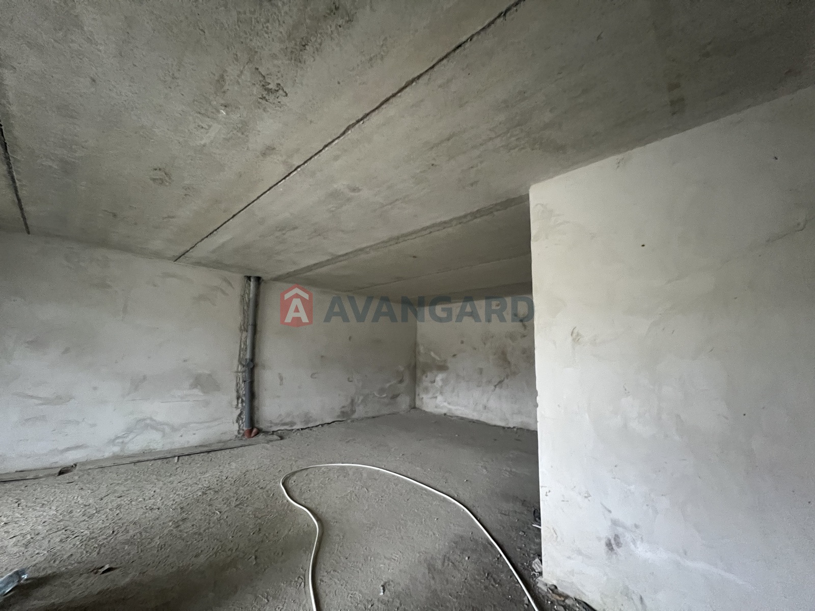 56 ��.�. ���� 3