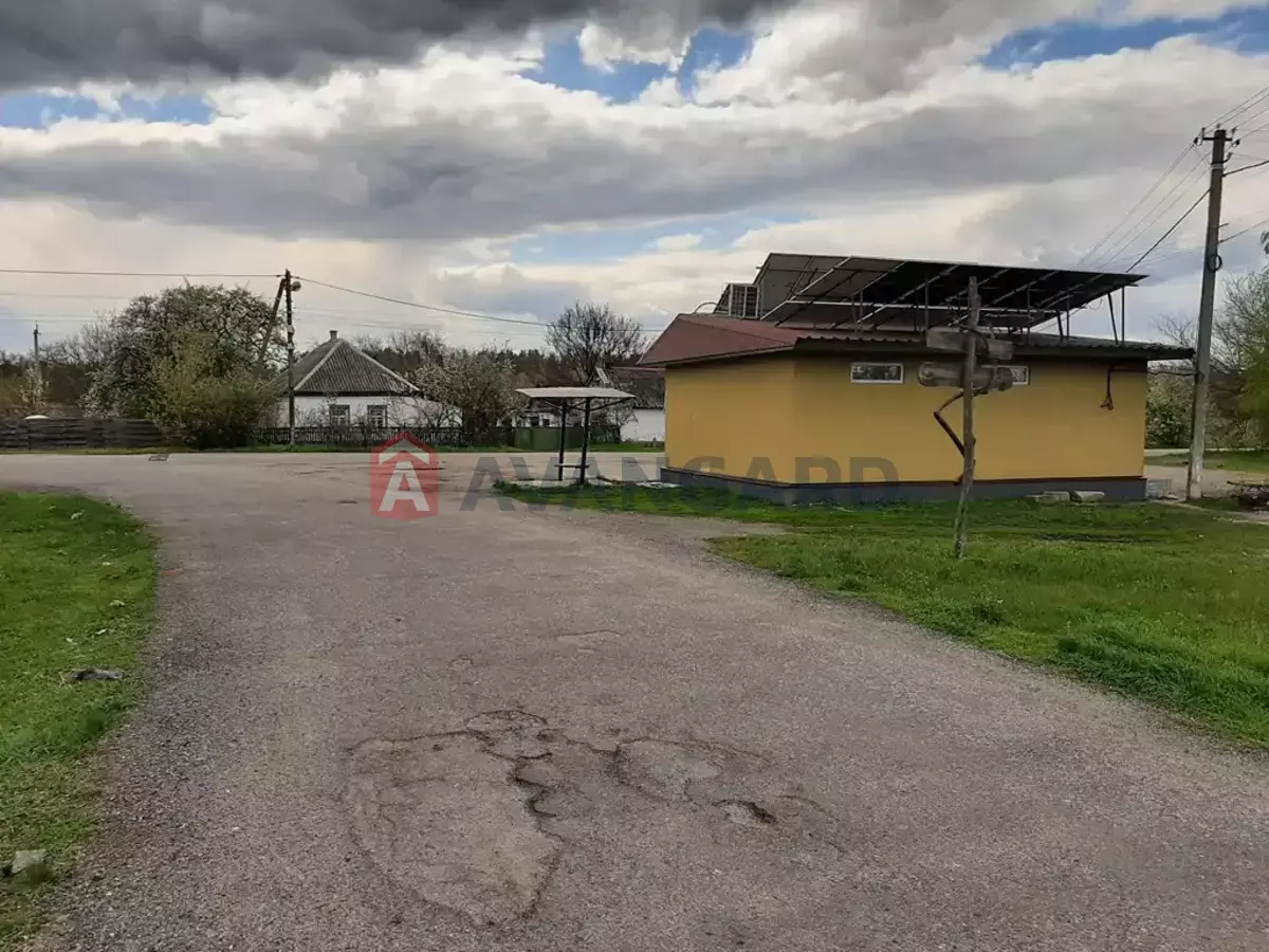 ���������� �����, 50 ��.�. ���� 1