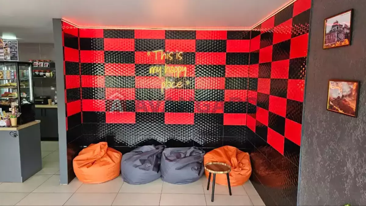 ���������� �����, 41 ��.�. ���� 3