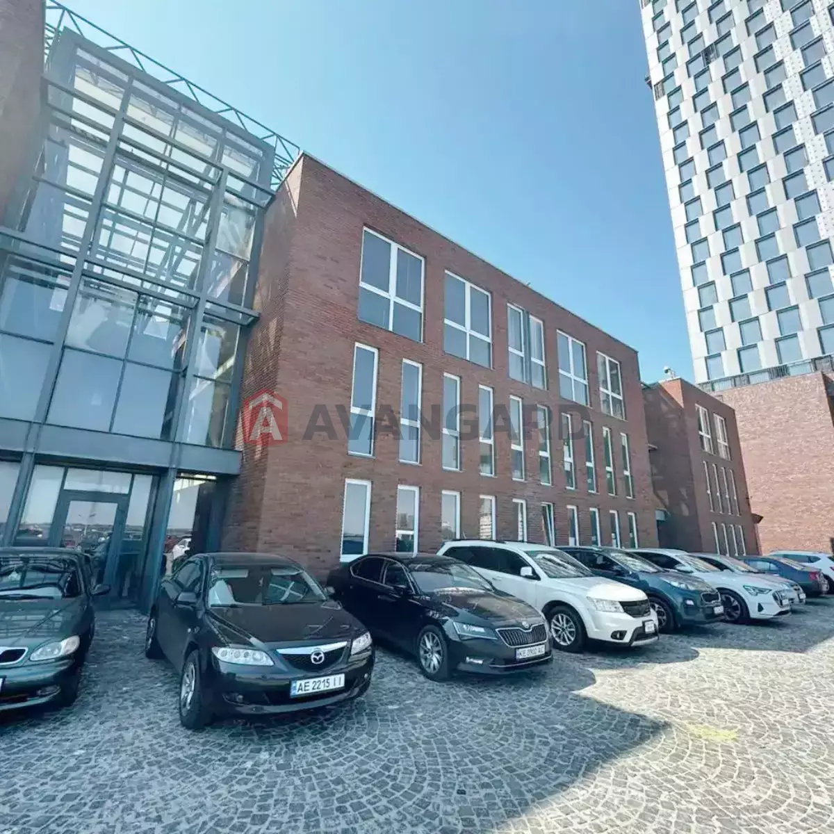 ���������� �����, 1500 ��.�. ���� 12