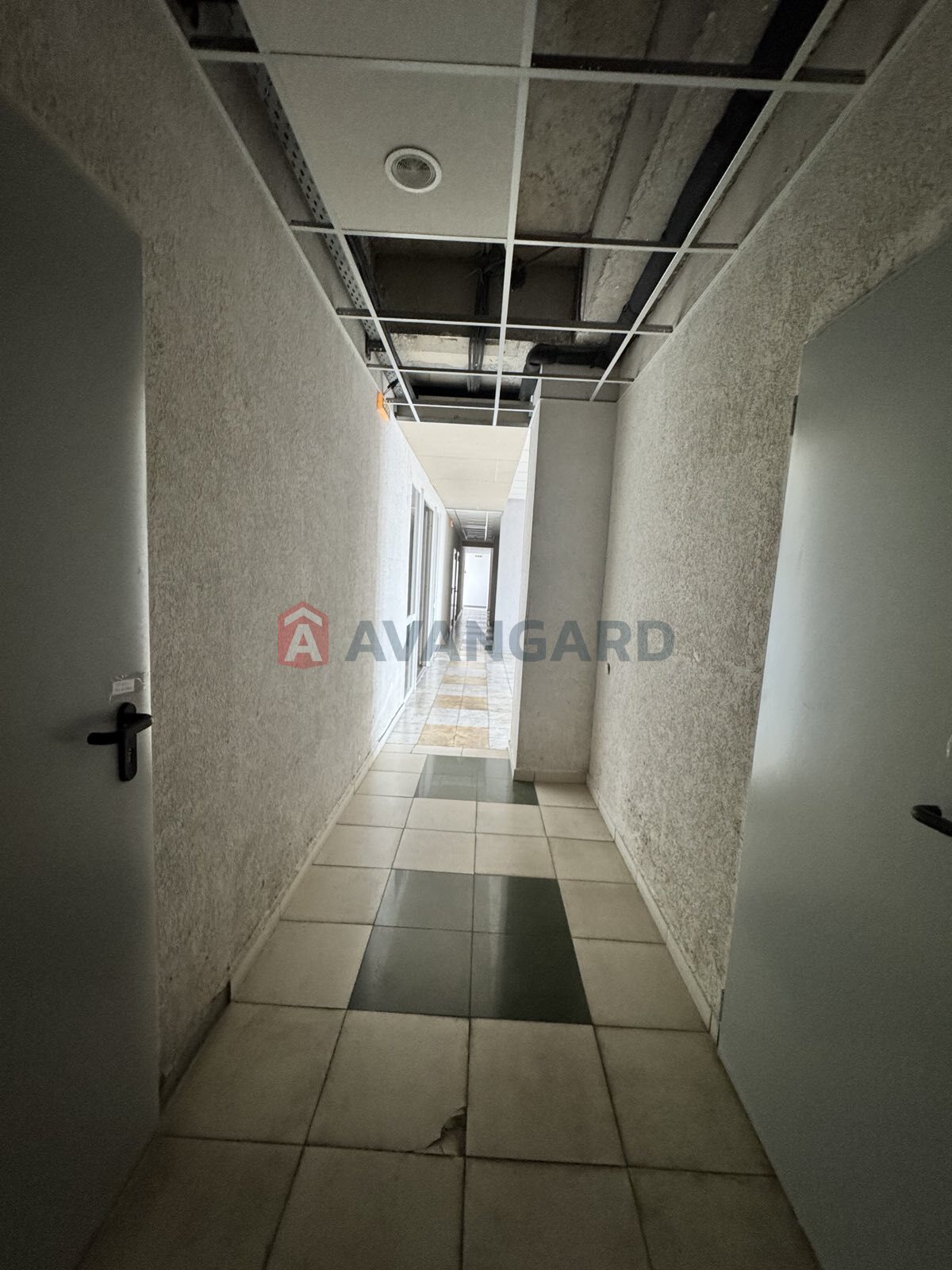 262 ��.�. ���� 5