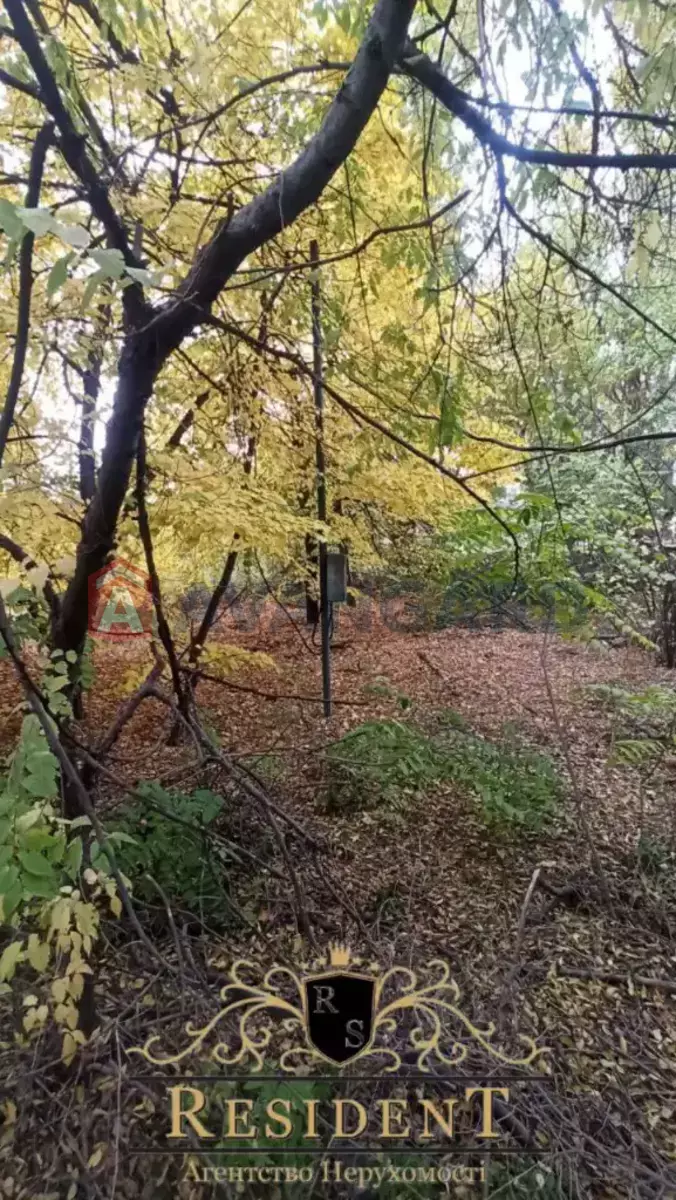 ����� ������, 112 ��.�. ���� 12