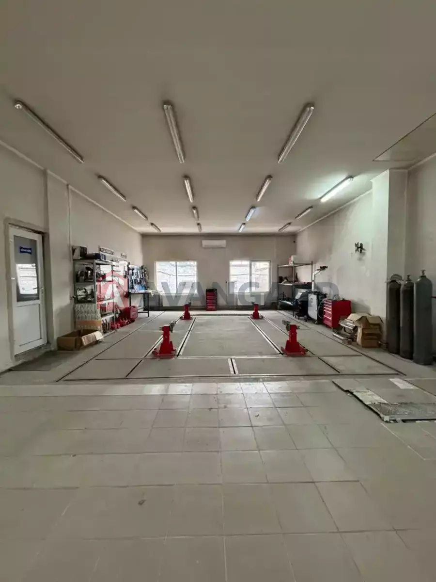 ����� ������, 265 ��.�. ���� 2