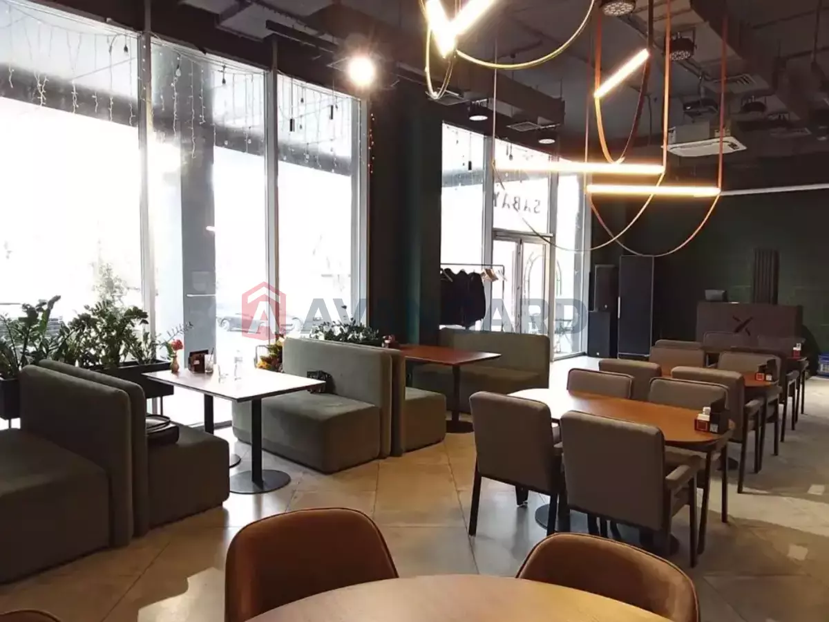 ����, ���, ��������, 160 ��.�. ���� 21