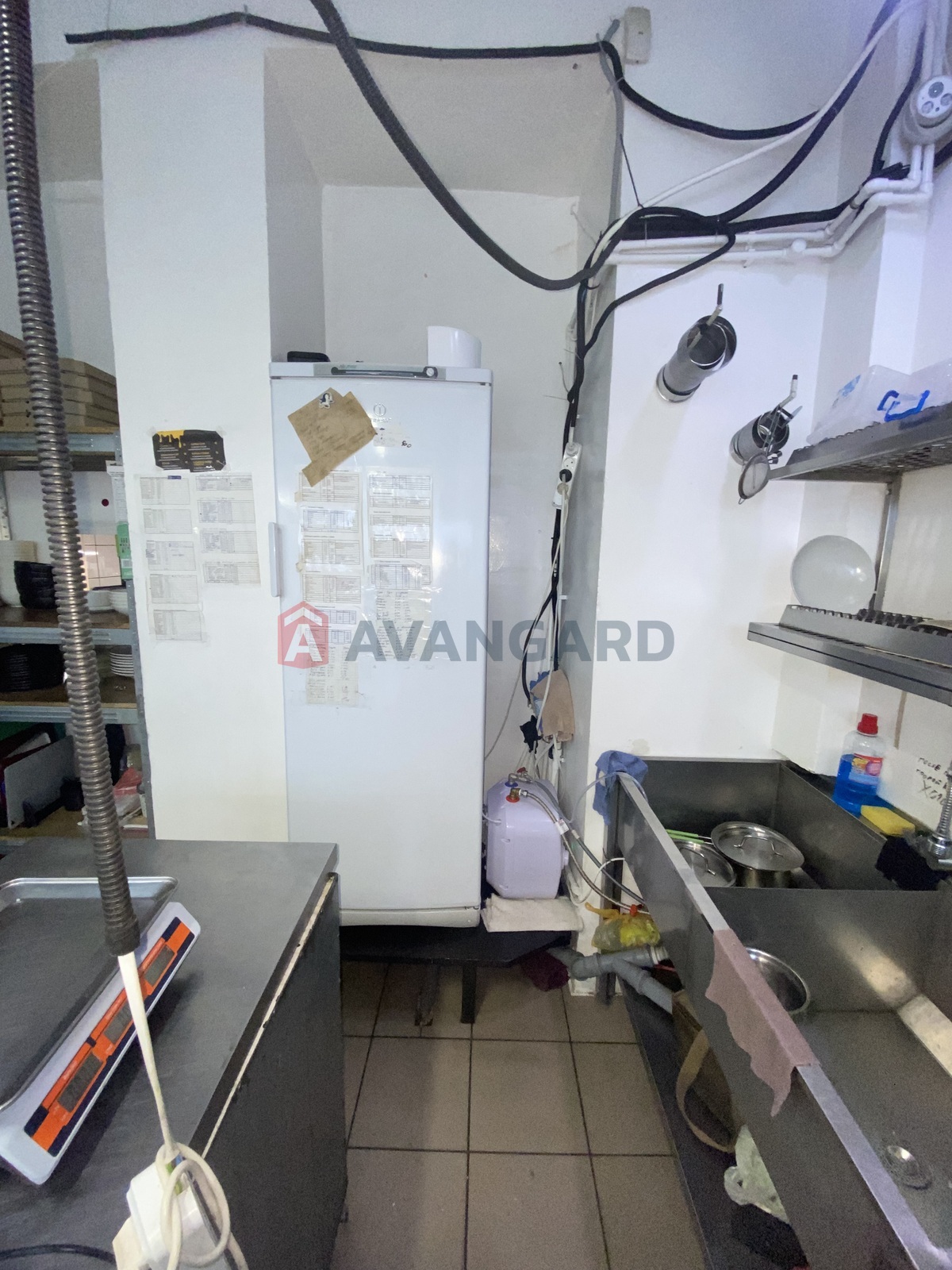 ����, ���, ��������, 62 ��.�. ���� 10