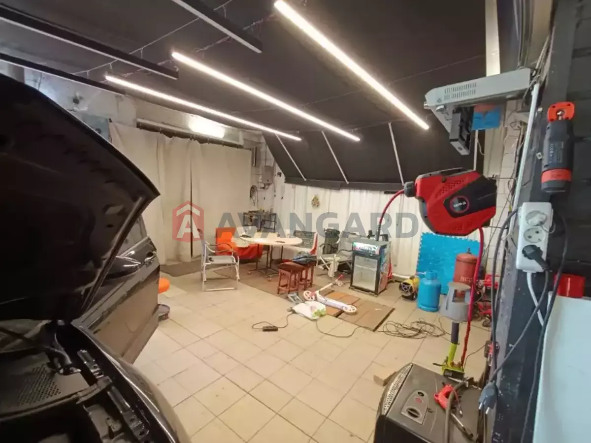 ����� �����, 80 ��.�. ���� 5