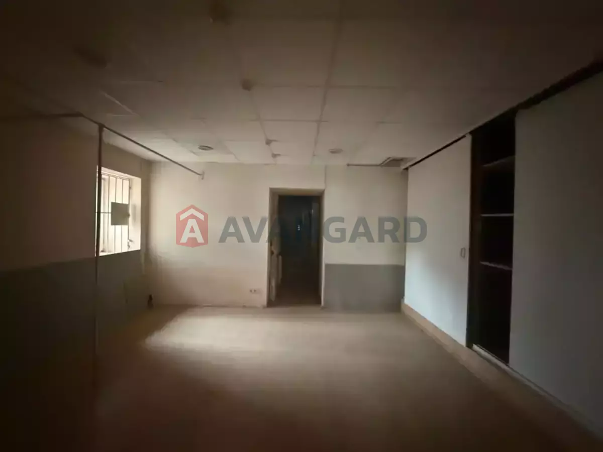 �������� �������, 131 ��.�. ���� 11