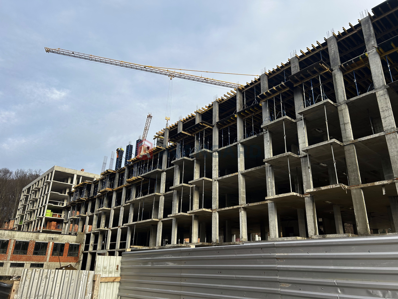 ���������� �����, ����� ������, 33 ��.�. ���� 5