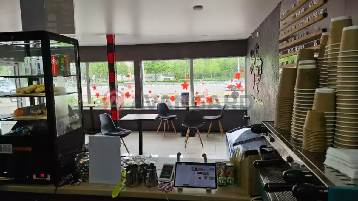 ���������� �����, 41 ��.�. ���� 7