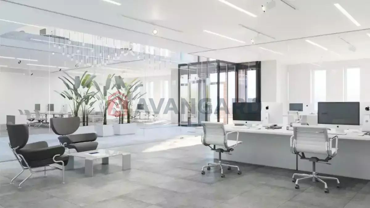 ���������� �����, 1500 ��.�. ���� 10