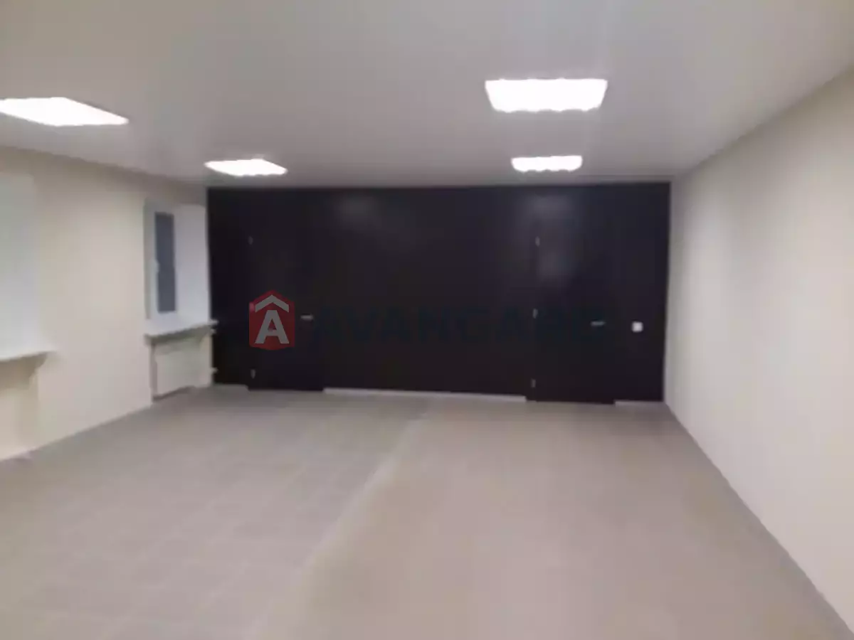 ���������� �����, 66 ��.�. ���� 2