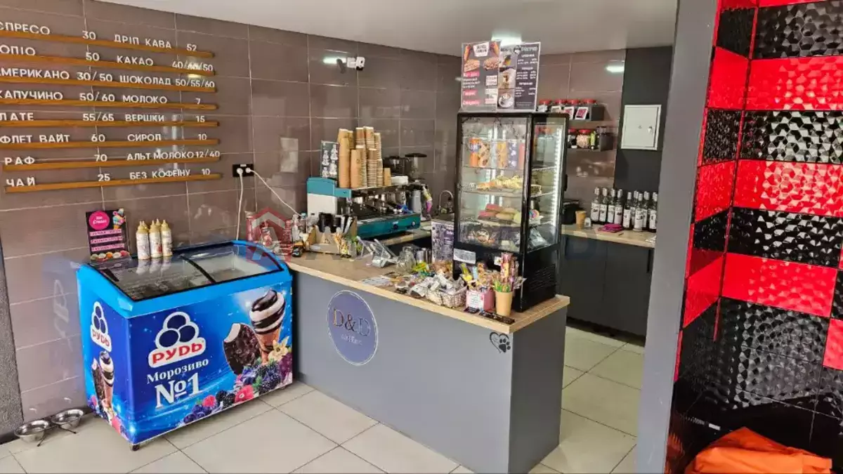 ���������� �����, 41 ��.�. ���� 6