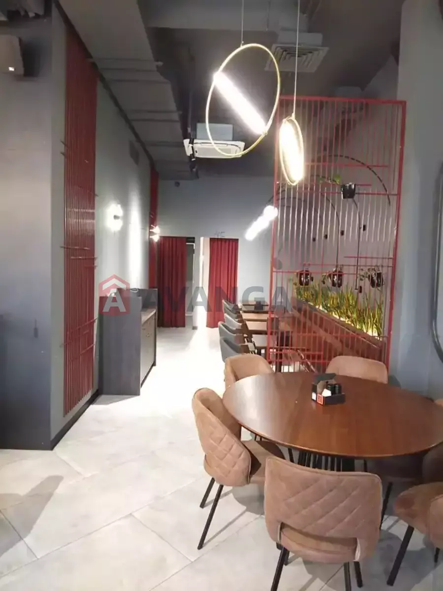 ����, ���, ��������, 160 ��.�. ���� 19