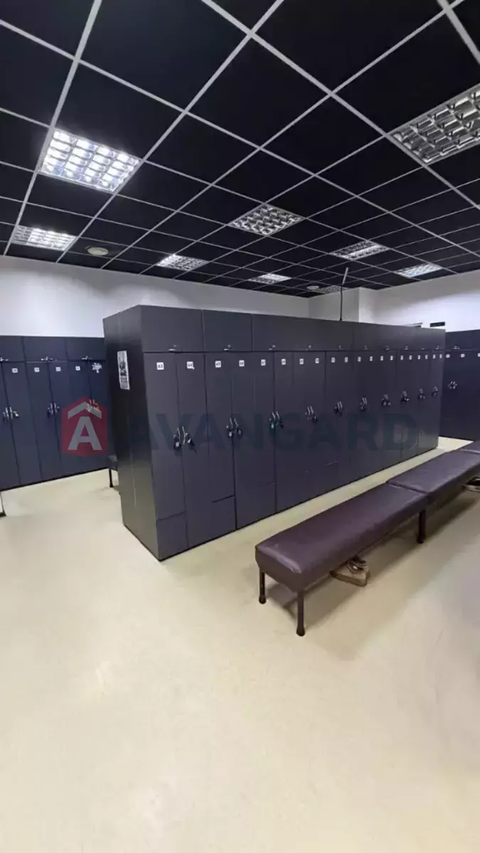 ����, ���, ��������, 415 ��.�. ���� 8