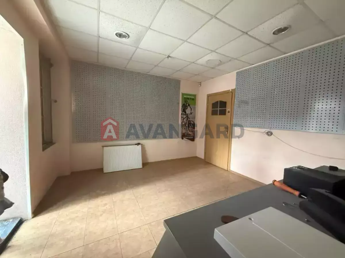 �������� �������, 131 ��.�. ���� 5