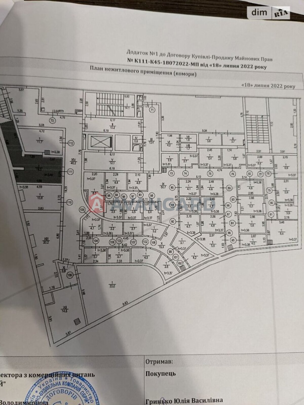 19 ��.�. ���� 3