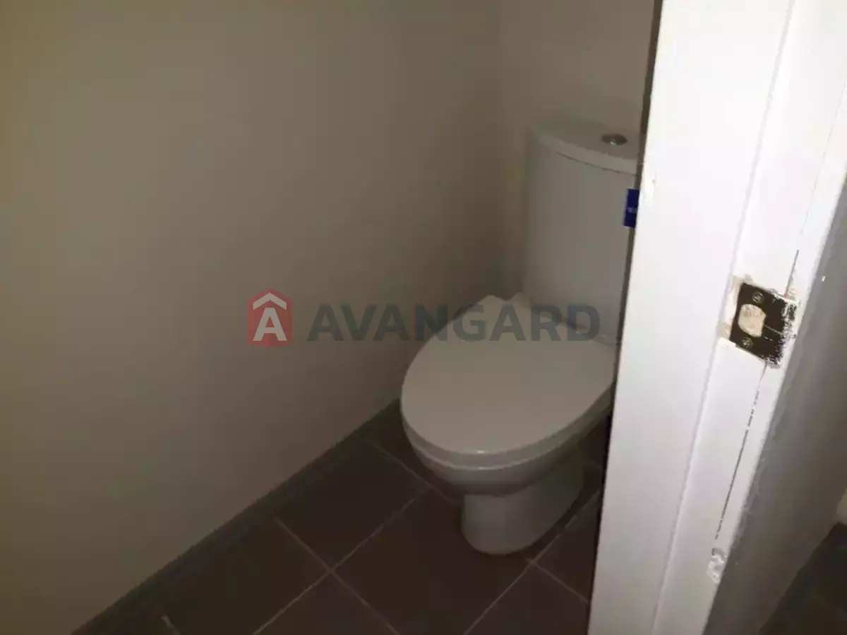 ���������� �����, 66 ��.�. ���� 25