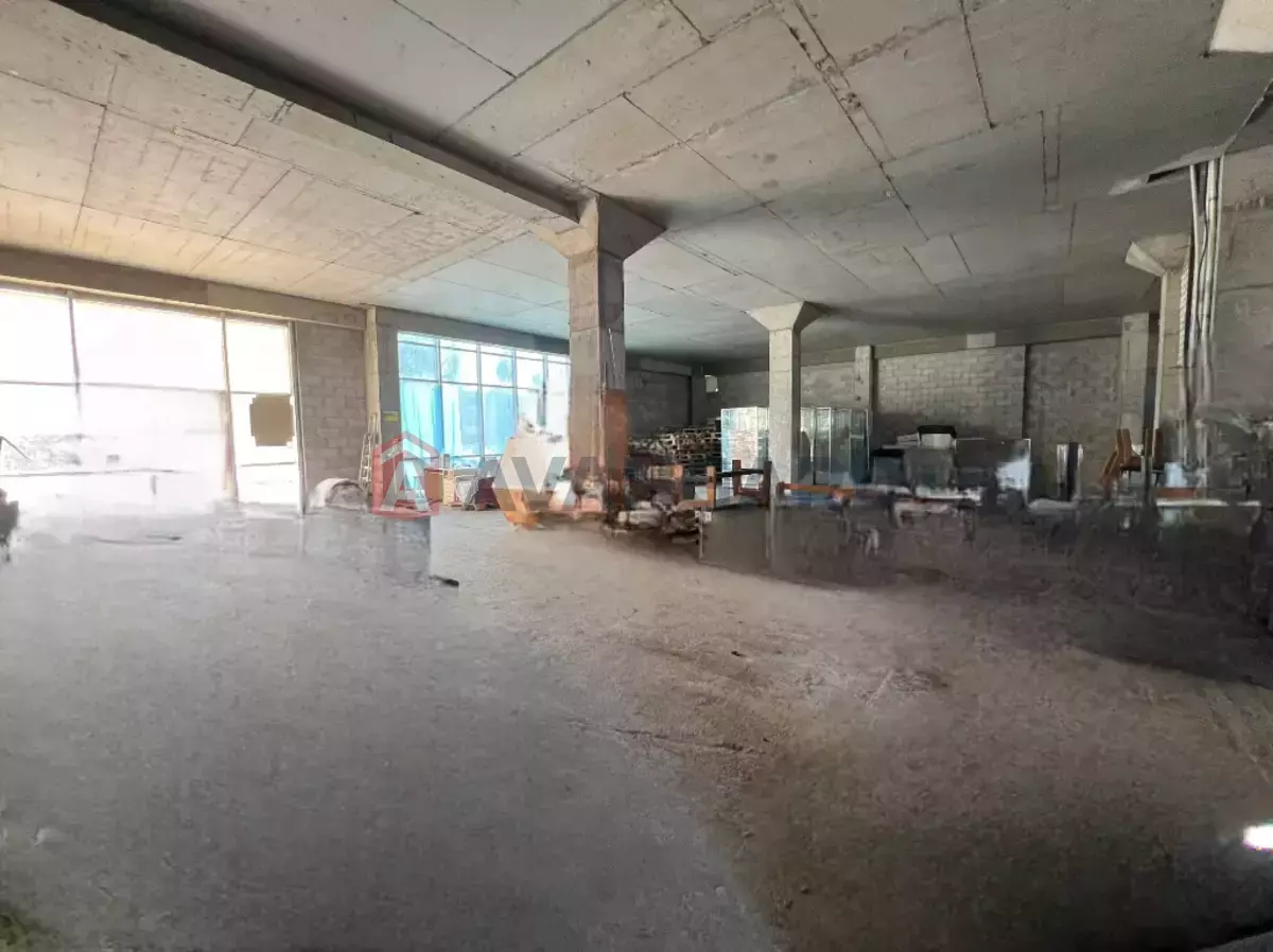 ���������� �����, 1200 ��.�. ���� 6