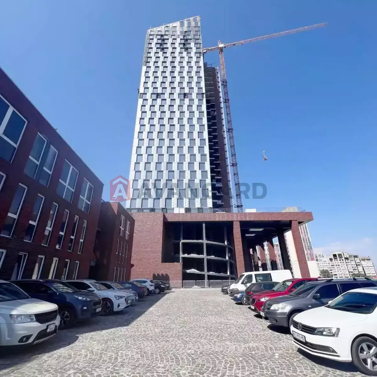 ���������� �����, 1500 ��.�. ���� 15