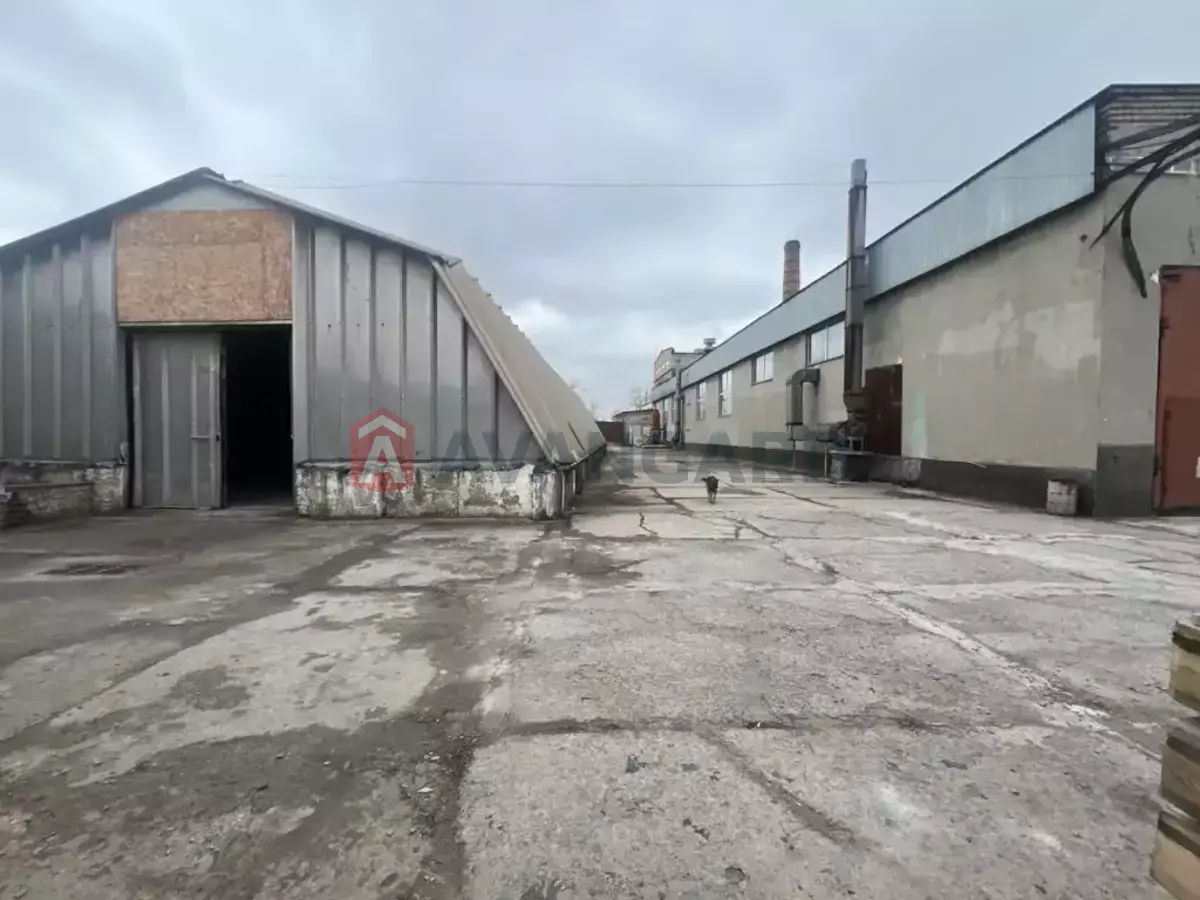 ��������� ���������, 3245 ��.�. ���� 18