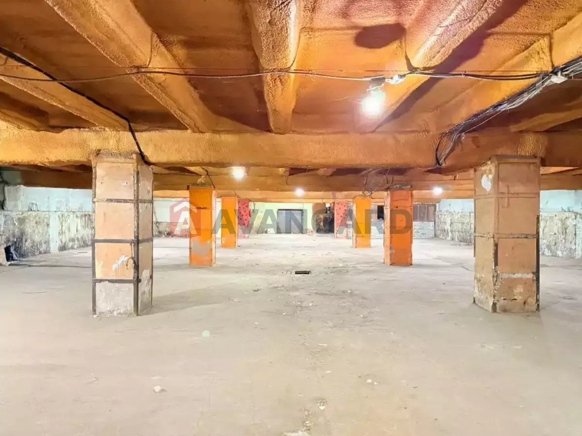 ��������� ���������, 646 ��.�. ���� 4